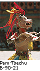 Paro-Tsechu B_90_21