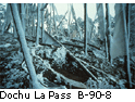 Dochu La Pass B_90_8