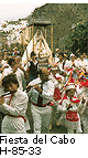 Fiesta del Cabo H_85_33