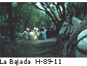 La Bajada H_89_11
