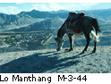 Lo Manthang M_3_44