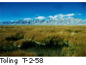 Toling T_2-58